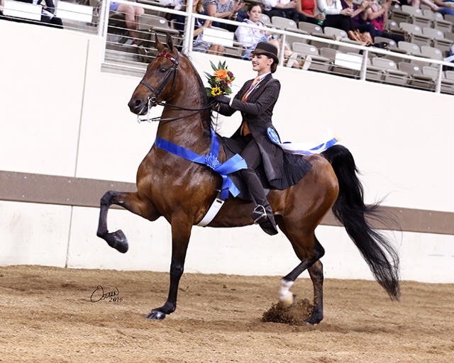 Iowa Horse Shows Association Banquet Timber Hills Farm