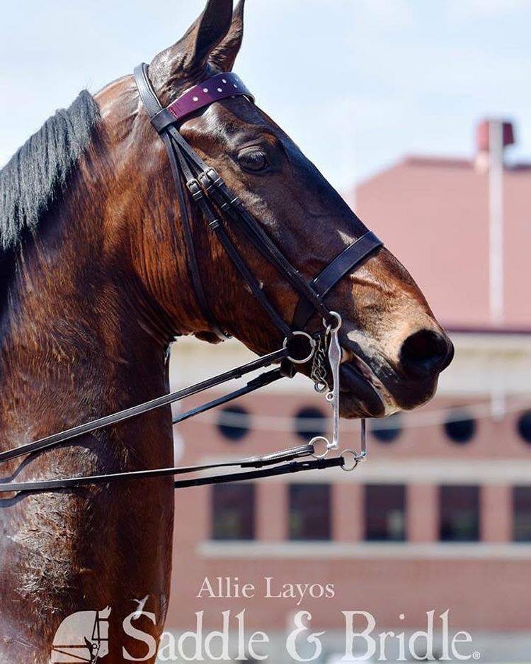 Midwest Charity Timber Hills Farm